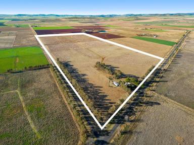 Farm Sold - QLD - Clifton - 4361 - LOCATION IS KEY!  (Image 2)