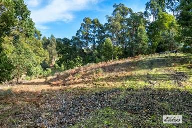 Farm For Sale - TAS - Somerset - 7322 - AREA IN DEMAND  (Image 2)
