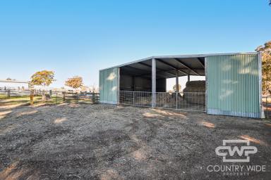 Farm Sold - NSW - Stannum - 2371 - 'Stannum Park'  (Image 2)