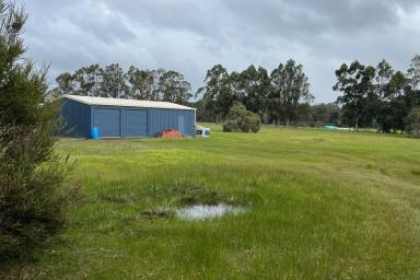Farm For Sale - WA - Northcliffe - 6262 - Pasture and Trees  (Image 2)
