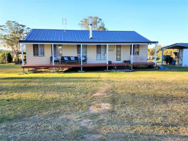 Farm For Sale - NSW - Casino - 2470 - "LINDARRA"  (Image 2)