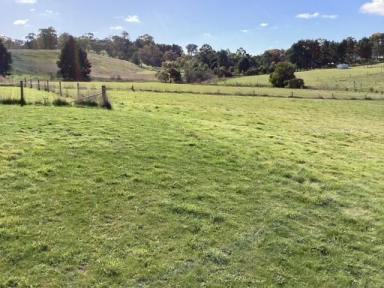 Farm For Sale - VIC - Clunes - 3370 - 2.563 Ha (6.3 acres) Mostly-cleared, Main Road Frontage, Town Water, Potential Subdivision STCA  (Image 2)