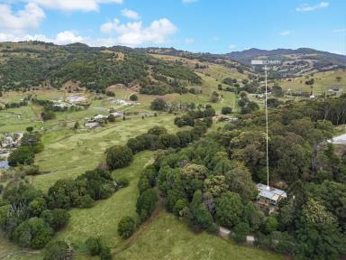Farm Sold - NSW - Cobaki - 2486 - RARE OPPORTUNITY 2-ACRE LEAFY OASIS - ONLY 15 MINUTES TO COOLANGATTA BEACH  (Image 2)