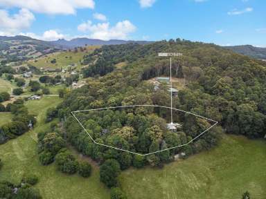 Farm Sold - NSW - Cobaki - 2486 - RARE OPPORTUNITY 2-ACRE LEAFY OASIS - ONLY 15 MINUTES TO COOLANGATTA BEACH  (Image 2)