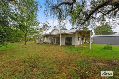 Farm For Sale - VIC - Maffra - 3860 - Perfect for the family lifestyle  (Image 2)