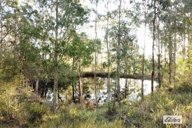 Farm Sold - NSW - Lansdowne - 2430 - BLANK CANVAS 5 ACRES WITH BUILDING ENTITLEMENT  (Image 2)