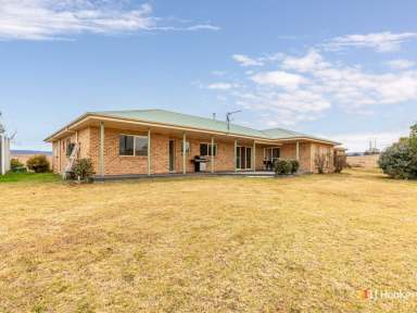 Farm Sold - NSW - Candelo - 2550 - "TURA-LEE" - 300 ACRE RURAL PROPERTY  (Image 2)