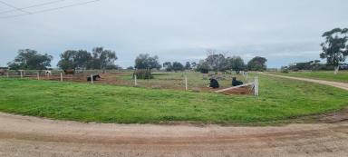 Farm For Sale - VIC - Macorna - 3579 - HUGE BLOCK WITH TOWN WATER  (Image 2)