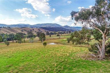 Farm Sold - VIC - Bonnie Doon - 3720 - VIEWS OF THE STRATHBOGIE RANGES  (Image 2)
