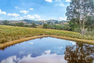 Farm Sold - VIC - Bonnie Doon - 3720 - VIEWS OF THE STRATHBOGIE RANGES  (Image 2)