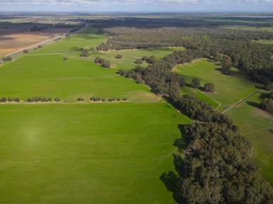 Farm For Sale - VIC - Durham Ox - 3576 - Best of both Worlds  (Image 2)