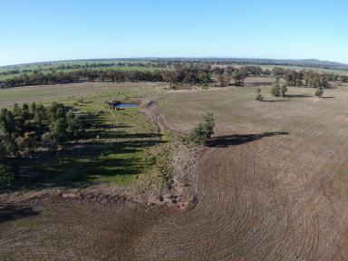 Farm For Sale - NSW - Barmedman - 2668 - Great Mixed Farm In Prime Location  (Image 2)