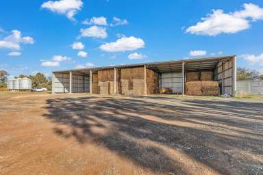 Farm Sold - VIC - Corop - 3559 - "BARTLETT'S"
ONSITE AUCTION - A/C GOBARUP P/L  (Image 2)