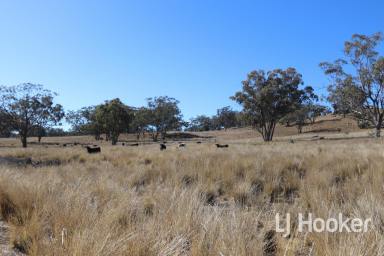 Farm Sold - NSW - Inverell - 2360 - SOLD BY WAYNE DALEY  (Image 2)