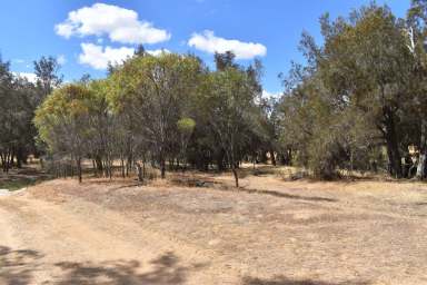 Farm Sold - WA - Woodanilling - 6316 - 'Baileys' Lot 1,2,3,144  (Image 2)