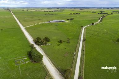 Farm For Sale - SA - Kongorong - 5291 - Rare Rural Find minutes to Mount Gambier  (Image 2)
