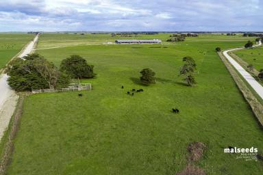 Farm For Sale - SA - Kongorong - 5291 - Rare Rural Find minutes to Mount Gambier  (Image 2)