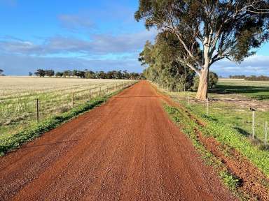 Farm Sold - WA - Cunderdin - 6407 - S O L D  (Image 2)