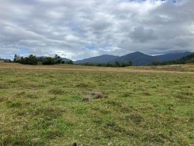 Farm Auction - QLD - Mount Charlton - 4741 - Country Lifestyle  (Image 2)
