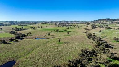 Farm Sold - NSW - Woodstock - 2793 - Wanstrow - Productive Grazing and Farming Country  (Image 2)
