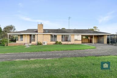 Farm Sold - VIC - Colac - 3250 - Room to play...  (Image 2)