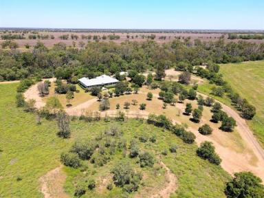 Farm Sold - NSW - Coonamble - 2829 - Enviable Rural Lifestyle, a Stone's Throw from Town  (Image 2)