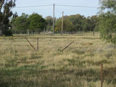 Farm Sold - NSW - Coonamble - 2829 - 2 Acres! 3 Titles! 3 Bedroom Home!  (Image 2)