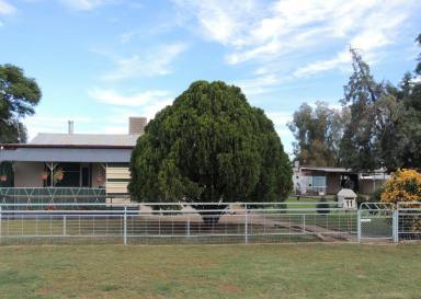 Farm Sold - NSW - Coonamble - 2829 - SNAP ME UP!  (Image 2)