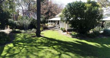 Farm Sold - NSW - Coonamble - 2829 - "Woodlands" - A Beautifully Presented Slice of Coonamble History  (Image 2)