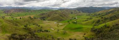 Farm For Sale - NSW - Jingellic - 2642 - Excellent Upper Murray Cattle Grazing  (Image 2)