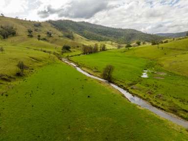 Farm For Sale - NSW - Jingellic - 2642 - Excellent Upper Murray Cattle Grazing  (Image 2)