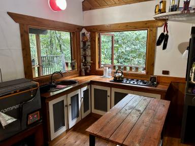 Farm Sold - QLD - Daintree - 4873 - SECLUDED COTTAGE IN THE DAINTREE  (Image 2)