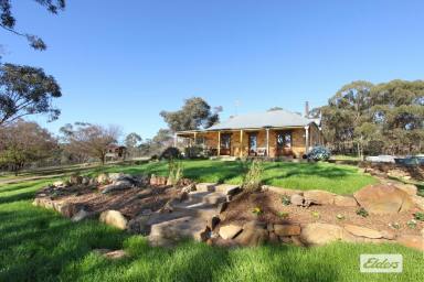 Farm Sold - VIC - Eppalock - 3551 - GRACIOUS STONE HOME, BEAUTIFULLY REFURBISHED IN AN ELEVATED SETTING  (Image 2)