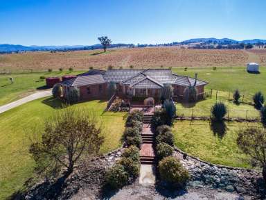 Farm Sold - NSW - Loomberah - 2340 - Productive Lifestyle Location  (Image 2)