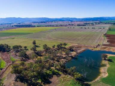 Farm Sold - NSW - Loomberah - 2340 - Productive Lifestyle Location  (Image 2)