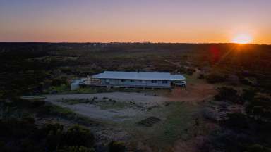 Farm Sold - WA - Ravensthorpe - 6346 - 5 x 2 (2 car carport) - 26.31HA  (Image 2)