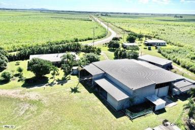 Farm For Sale - QLD - Brandon - 4808 - Rendered Block Home with Huge Shed on 2 Acres +  (Image 2)