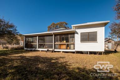 Farm For Sale - NSW - Deepwater - 2371 - Ultimate Lifestyle Property with Deepwater River Frontage  (Image 2)