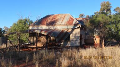Farm For Sale - NSW - Louth - 2840 - Binburra  (Image 2)