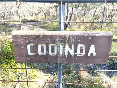 Farm For Sale - NSW - Wombeyan Caves - 2580 - "Cooinda" your natural bush retreat!  (Image 2)