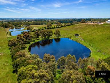 Farm Sold - VIC - Koonwarra - 3954 - SPRING IS IN THE AIR  (Image 2)