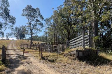Farm Sold - NSW - Dungog - 2420 - 'The Springs'  (Image 2)