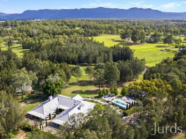 Farm For Sale - NSW - Pokolbin - 2320 - THISTLE HILL GUEST HOUSE – HIGH INCOME LUXURY ACCOMMODATION IN HUNTER VALLEY  (Image 2)