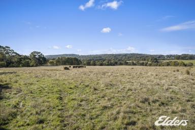 Farm Sold - VIC - Boho South - 3669 - Welcome to your own piece of paradise in Boho South!  (Image 2)