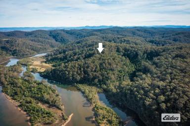 Farm For Sale - NSW - Mogareeka - 2550 - Bush, River Flats & Bega River Frontage  (Image 2)