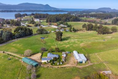 Farm Sold - TAS - Port Arthur - 7182 - A Charming Home with Abundant Opportunities in Serene Setting  (Image 2)