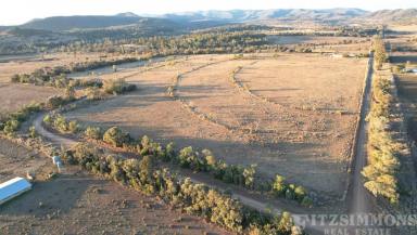 Farm Sold - QLD - Bell - 4408 - "THE PERFECT BUNYA MTNS OUTLOOK"  (Image 2)