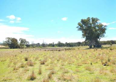 Farm For Sale - NSW - Young - 2594 - Step into a World of Possibilities: Exclusive Commercial/Industrial Land Awaits - Your Vision, Your Triumph! Seize the Opportunity Today!  (Image 2)