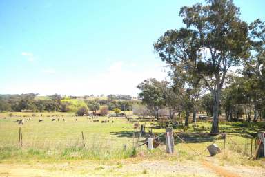 Farm For Sale - NSW - Young - 2594 - Step into a World of Possibilities: Exclusive Commercial/Industrial Land Awaits - Your Vision, Your Triumph! Seize the Opportunity Today!  (Image 2)