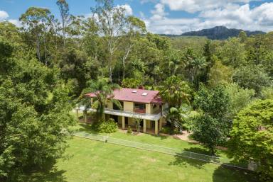 Farm Sold - QLD - Tinbeerwah - 4563 - Lifestyle Property on 9.6 cleared acres only 15  minutes to Noosa Heads  (Image 2)